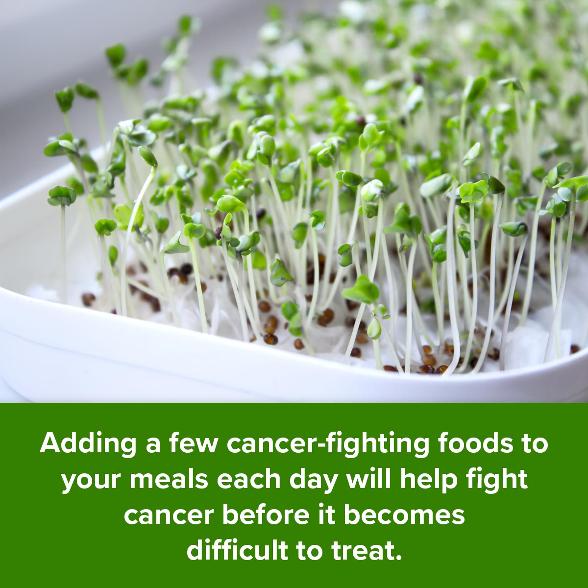 Adding a few cancer-fighting foods to your meals each day will help fight cancer before it becomes difficult to treat.