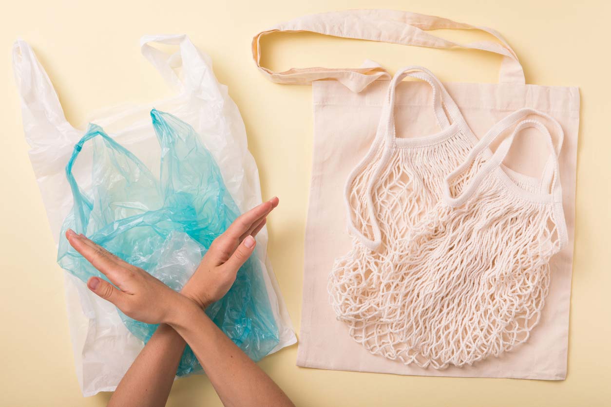plastic vs non-plastic, cotton grocery bags