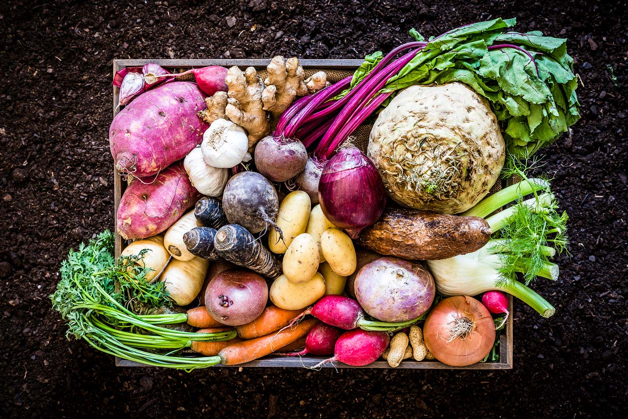 Root vegetables in a produce box