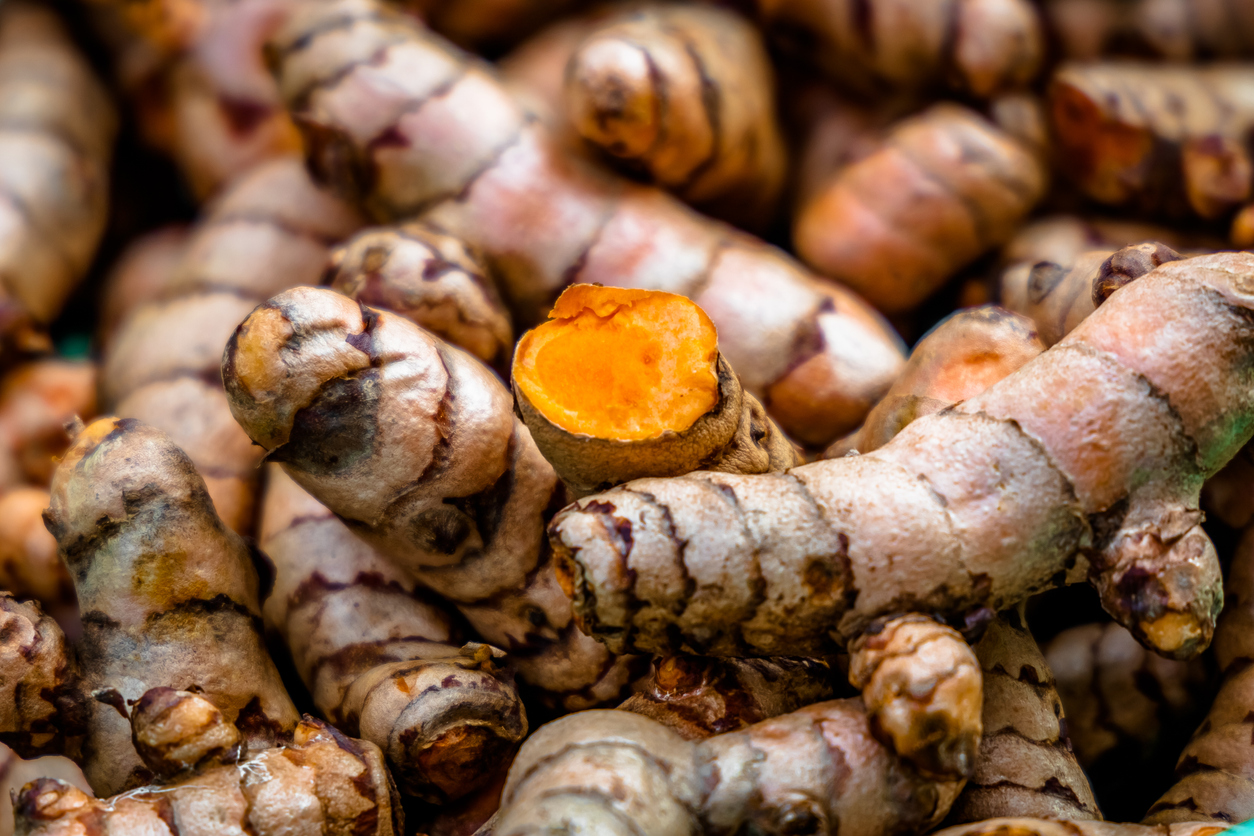 Turmeric roots closeup. Fresh harvest of many turmeric roots background texture.