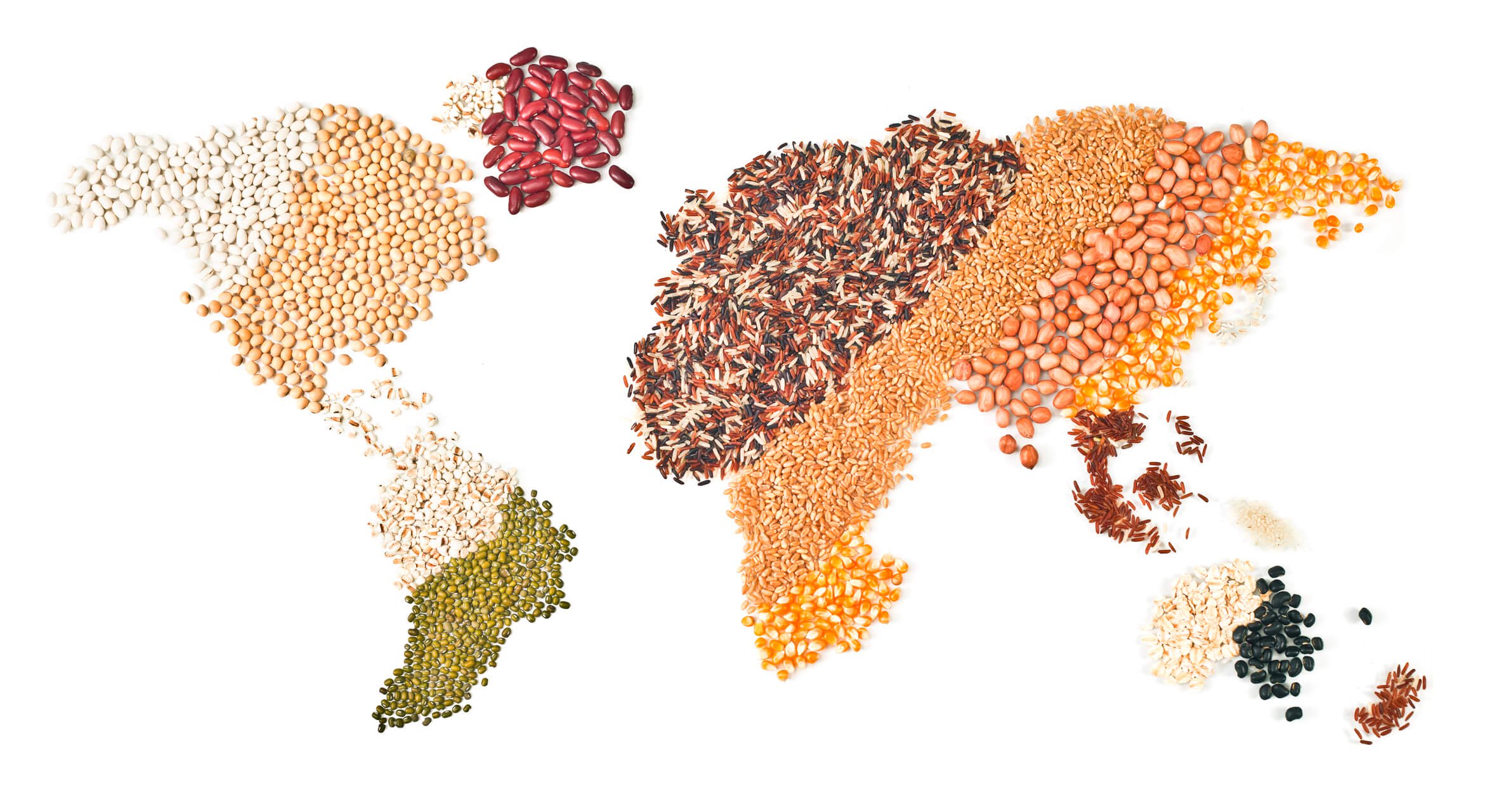 World map made out of grains and legumes