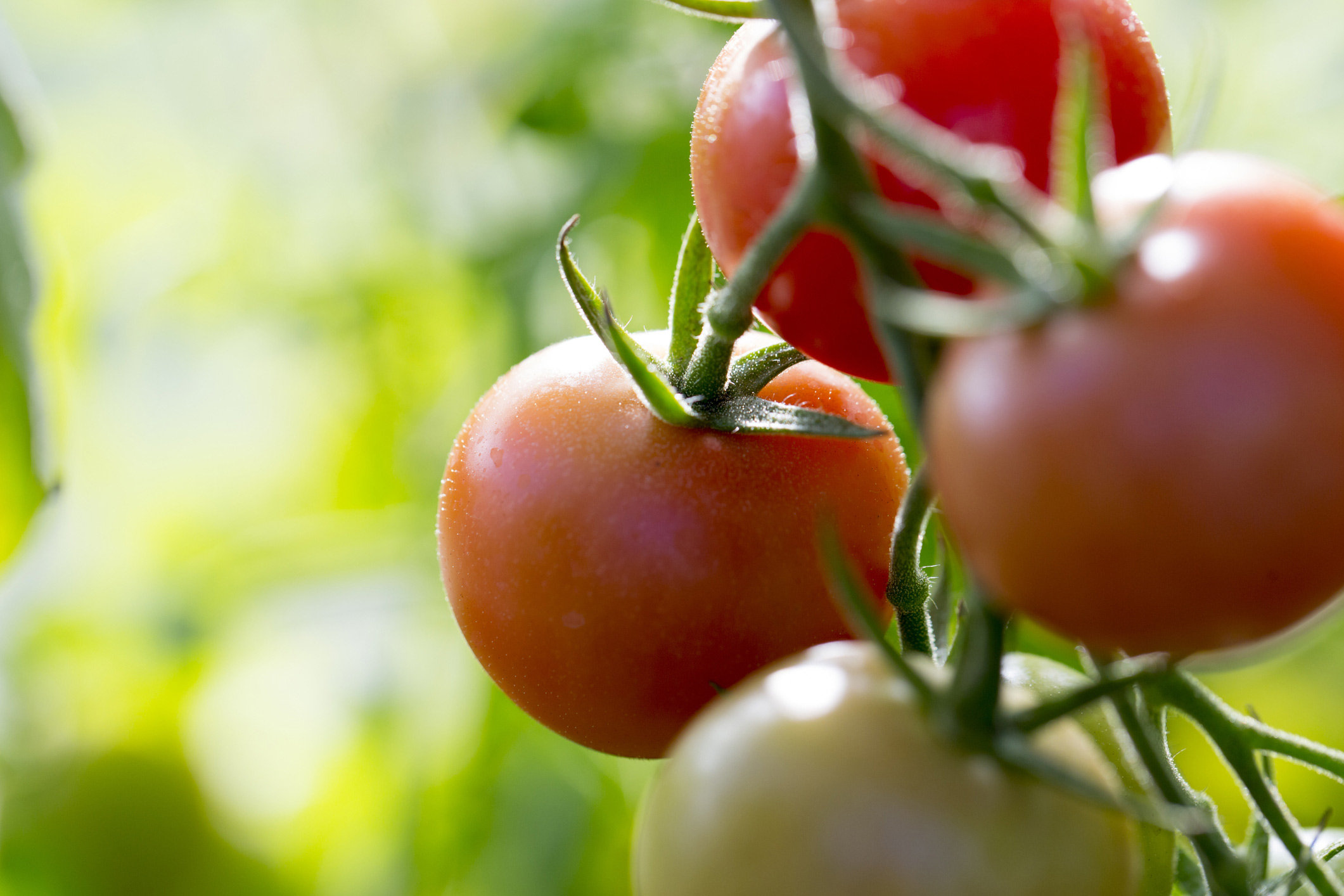 Top heart healthy foods: tomatoes