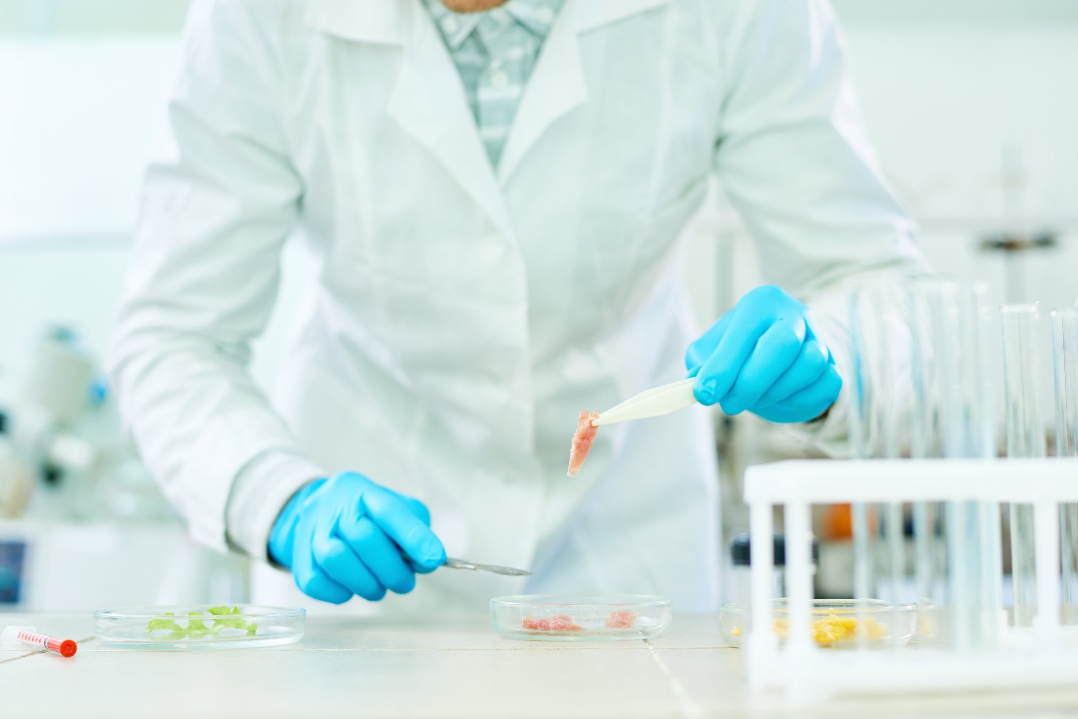 Scientist testing lab-grown clean meat