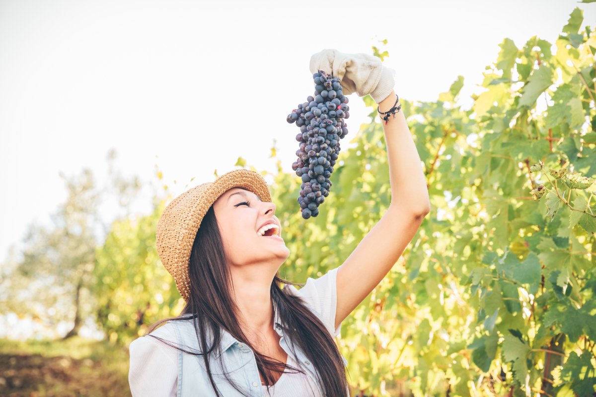 natural sun protection from eating grapes